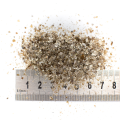 MP_BRAZOWA_JASNA_1-2MM-2.png