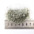MP_ZIELONA_JASNA_1-2MM-2.png