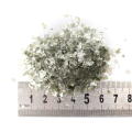 MP_ZIELONA_JASNA_3-5MM-2.png